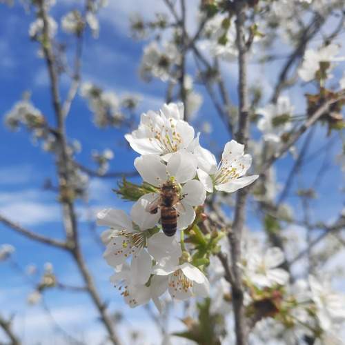 Photo #7701553
