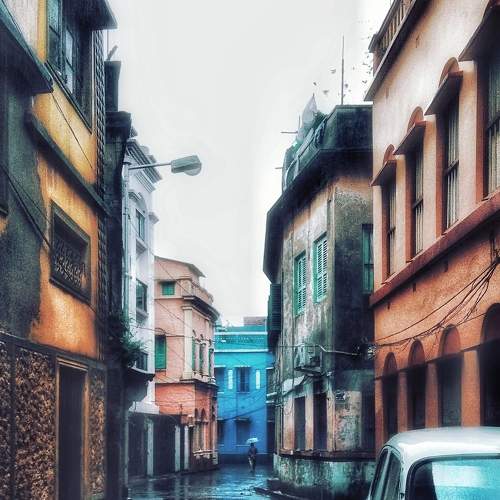 Photo #7701571