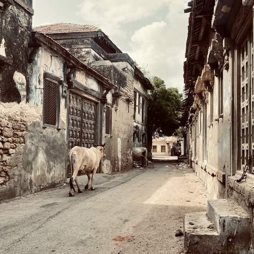 Photo #7701643