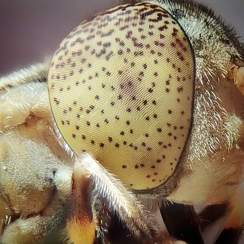 Photo #7701805