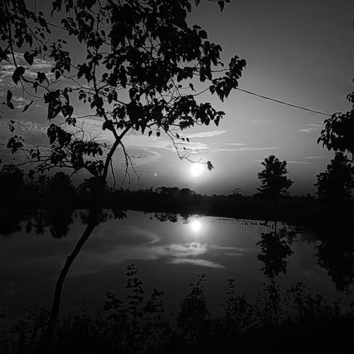 Photo #7701991