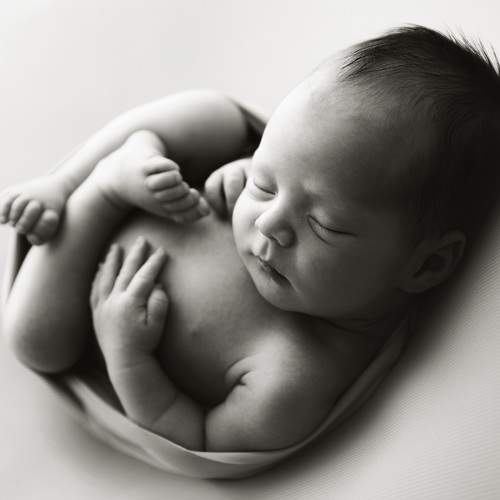 Photo #7702021