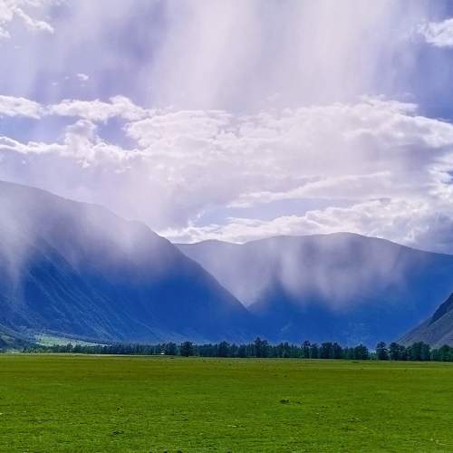 Photo #7702144