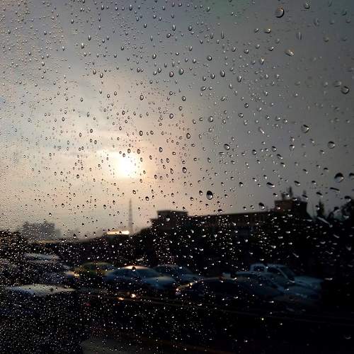 Photo #7702433