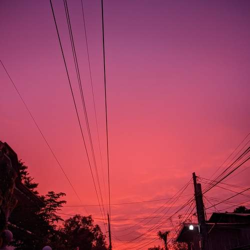 Photo #7702675