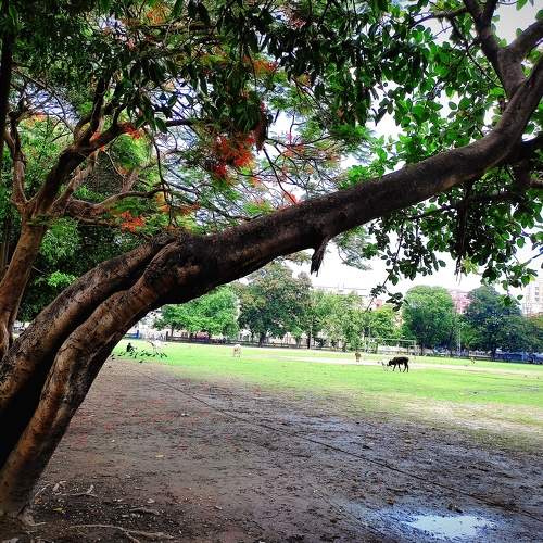 Photo #7702686