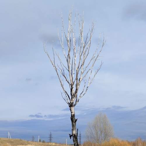 Photo #7702776