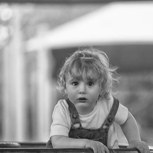 Photo #7702953