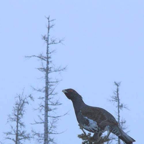 Photo #7703388