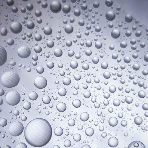 Photo #7704245