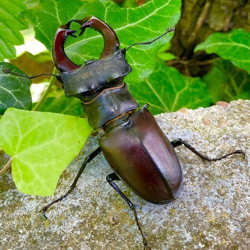 Photo #7704293