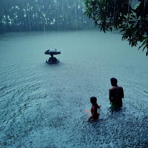 Photo #7704438