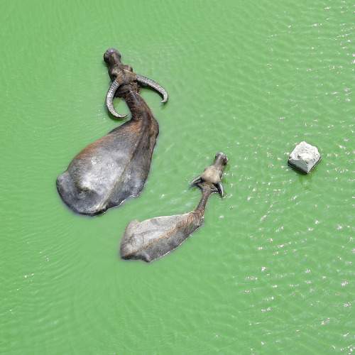 Photo #7704448