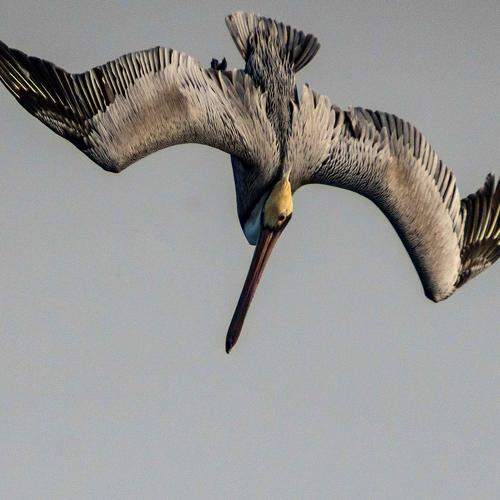 Photo #7704724