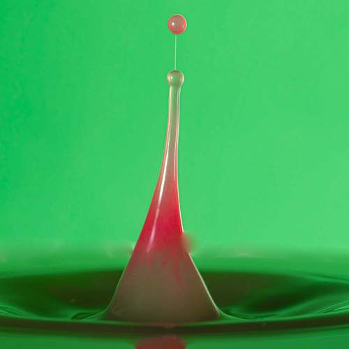 Photo #7704873