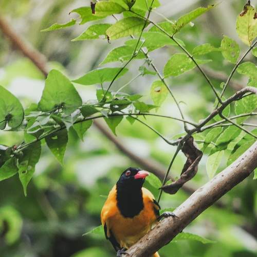 Photo #7705020
