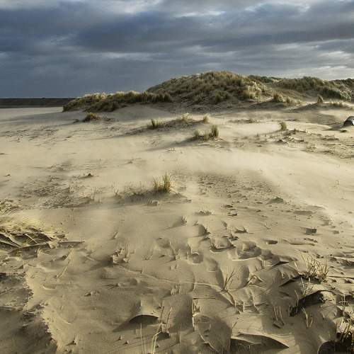 De vuilnis bak