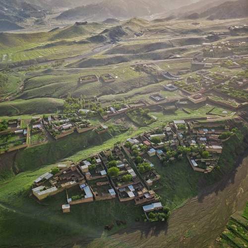 Photo #7705660