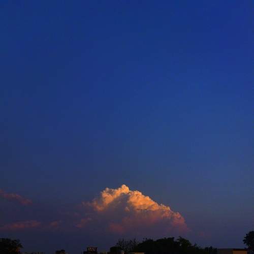 Photo #7705858