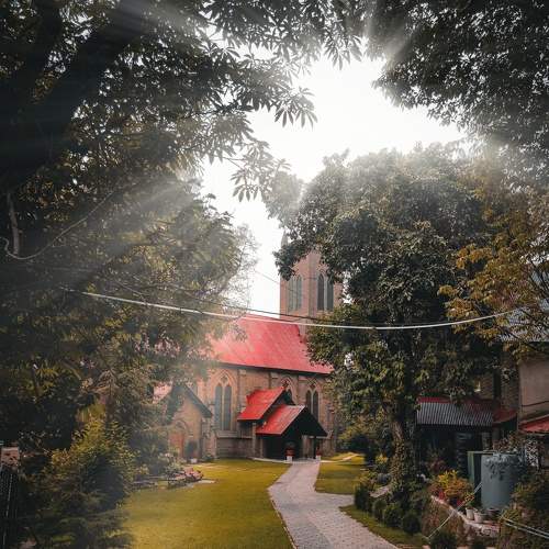 Photo #7705921