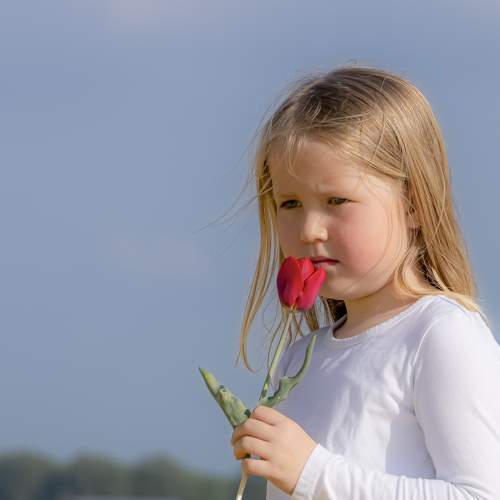 Photo #7706156