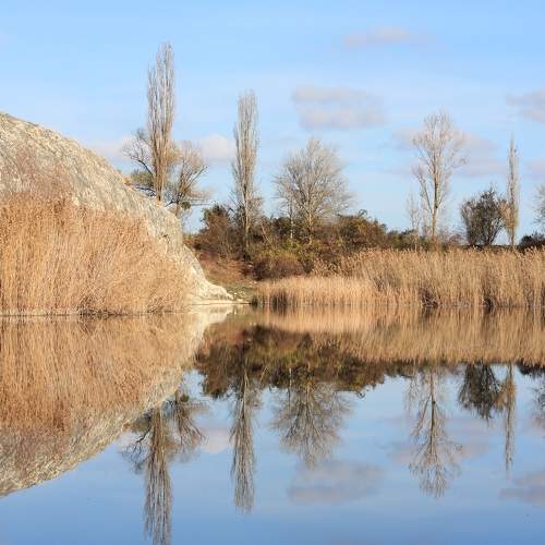 Photo #7706272