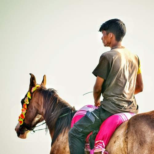 Horse Riders Life