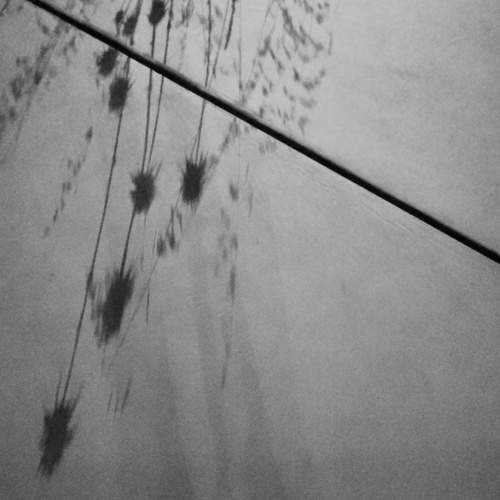 Photo #7706339