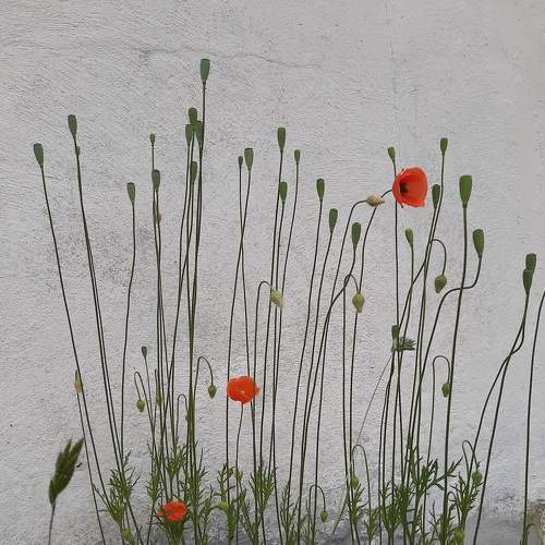 Photo #7706846