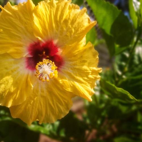 Photo #7706866
