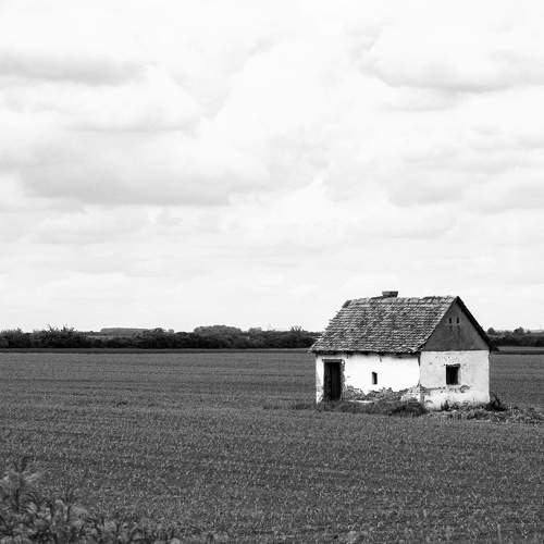 Photo #7707065