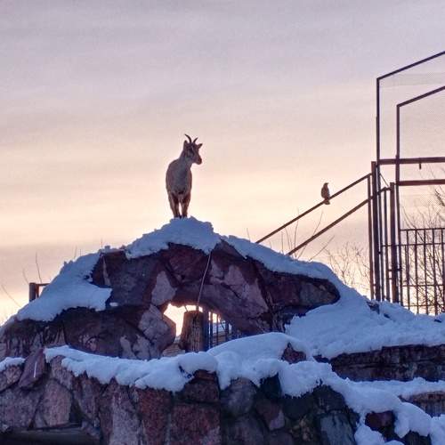 Photo #7707233