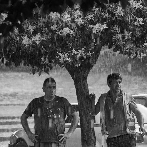 Photo #7707443