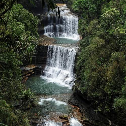 Photo #7707752