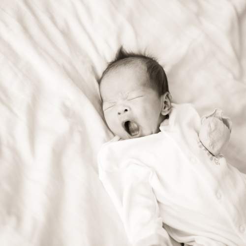 Photo #7707848