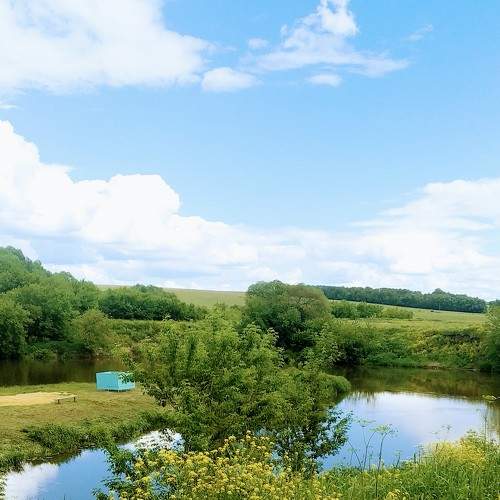 Photo #7708002