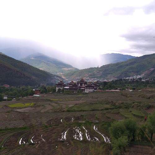 Photo #7708036