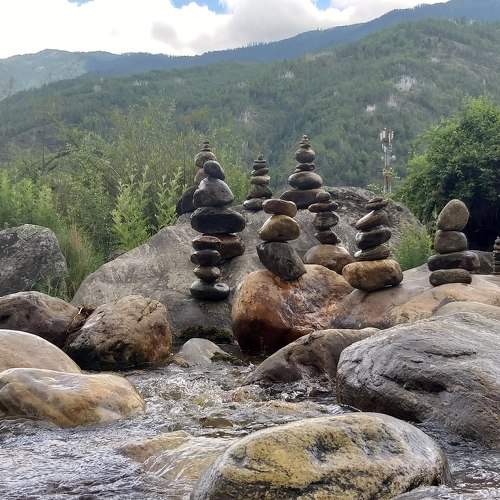 Photo #7708054