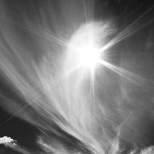 Photo #7708104