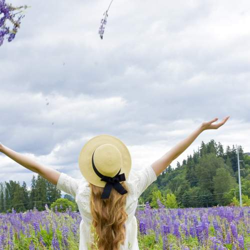 Photo #7708118