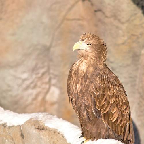 Photo #7708229