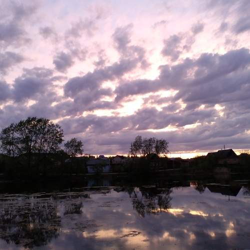 Photo #7708245