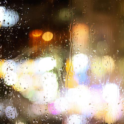 Photo #7708253
