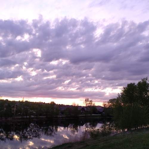 Photo #7708256