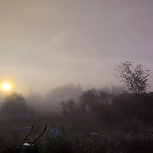 Photo #7708477