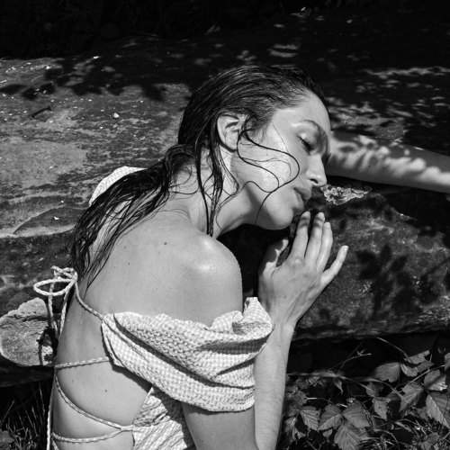 Photo #7708685