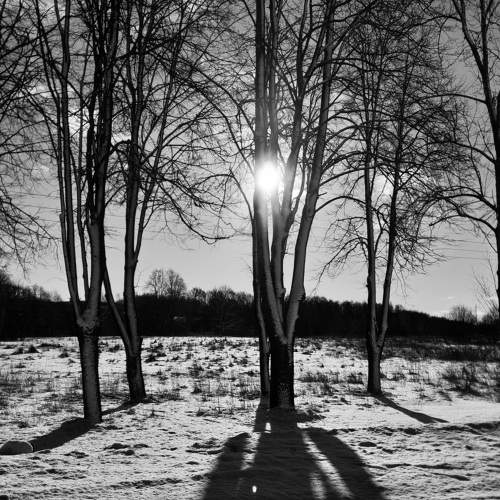 Photo #7709738