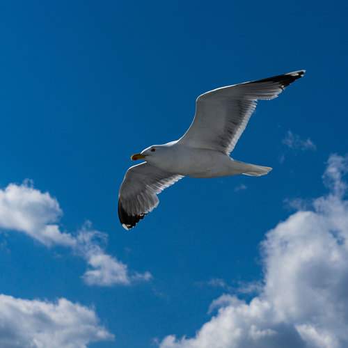 Photo #7709906