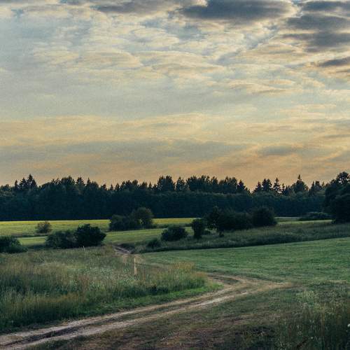 Photo #7710129