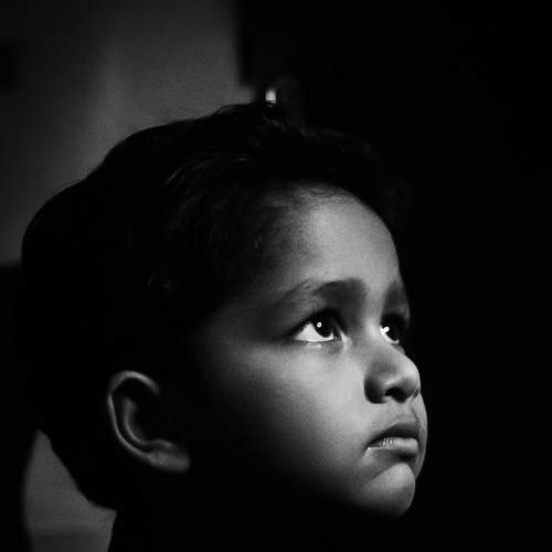 Photo #7710399